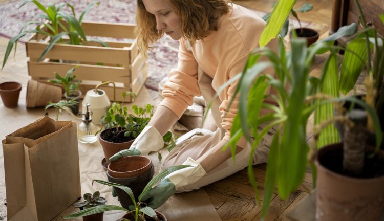 Maximizing Your Small Space Garden: 5 Tips for Growing More Plants